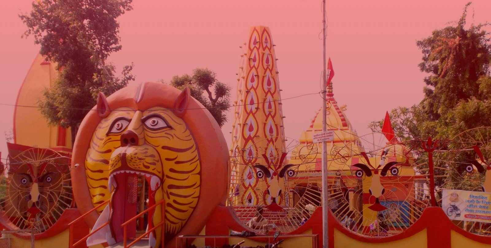 Donation Maa Baglamukhi Temple